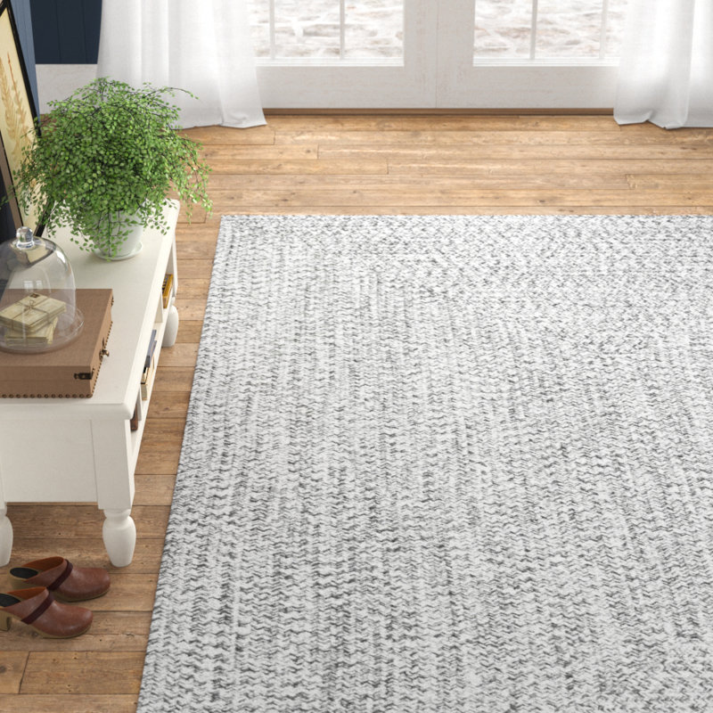 Chesley Braided Salt and Pepper Indoor / Outdoor Rug & Reviews Birch Lane